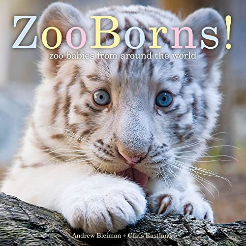 Imagen de archivo de ZooBorns!: Zoo Babies from Around the World a la venta por SecondSale