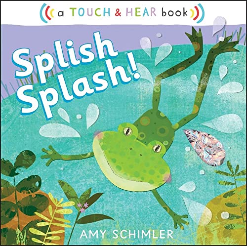 9781442413542: Splish Splash!: A Touch & Hear Book