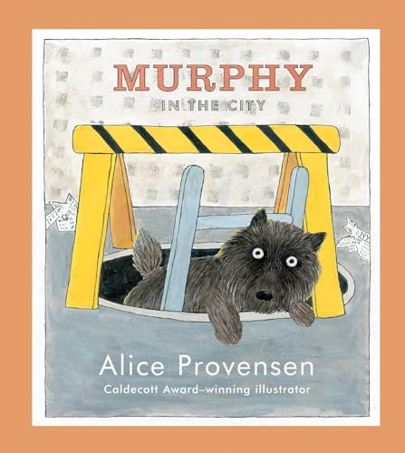 9781442419711: Murphy in the City