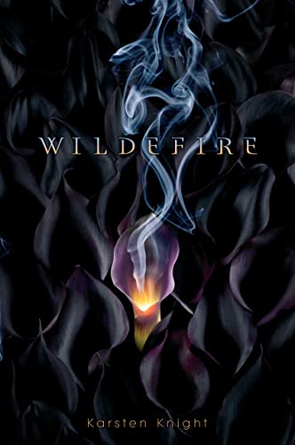 Imagen de archivo de Wildefire a la venta por SecondSale