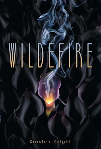 Imagen de archivo de Wildefire a la venta por Wonder Book