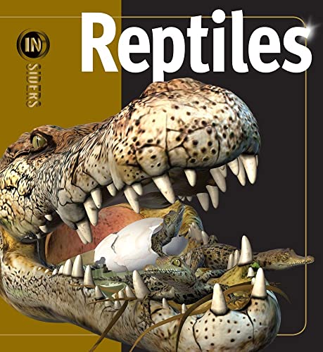 Stock image for Reptiles (Insiders) for sale by Goodwill of Colorado
