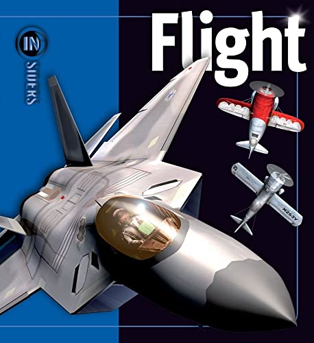 Imagen de archivo de Flight (Insiders) a la venta por Half Price Books Inc.