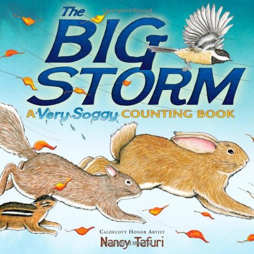 Stock image for The Big Storm: A Very Soggy Counting Book for sale by Better World Books