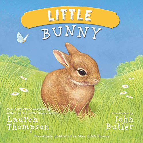 Beispielbild fr Little Bunny zum Verkauf von SecondSale