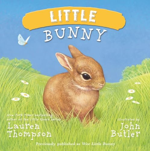 9781442458512: Little Bunny: Previously Published As Wee Little Bunny