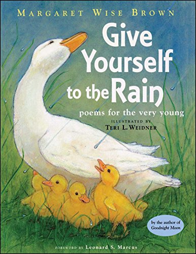 Stock image for Give Yourself to the Rain: Poems for the Very Young for sale by ThriftBooks-Dallas