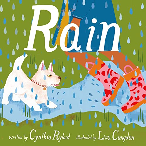 Imagen de archivo de Rain a la venta por New Legacy Books