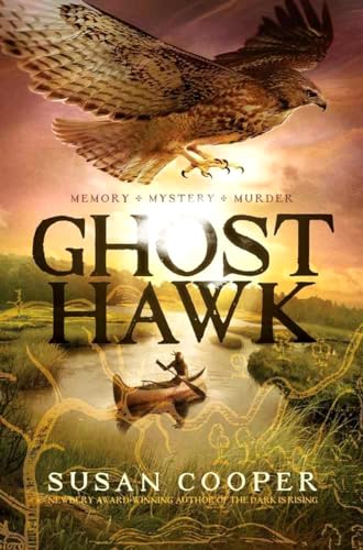 Stock image for Ghost Hawk for sale by Gulf Coast Books