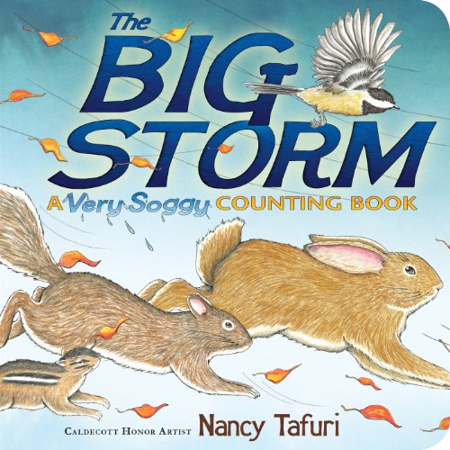 Imagen de archivo de The Big Storm: A Very Soggy Counting Book (Classic Board Books) a la venta por Gulf Coast Books