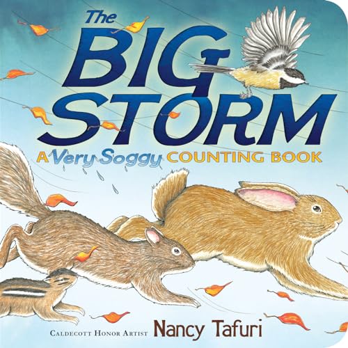 9781442481794: The Big Storm: A Very Soggy Counting Book (Classic Board Books)