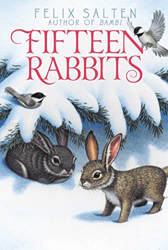 Beispielbild fr Fifteen Rabbits zum Verkauf von ThriftBooks-Dallas