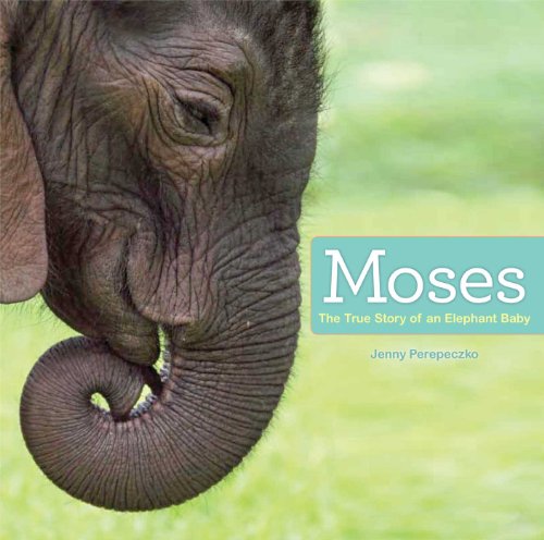 Stock image for Moses: The True Story of an Elephant Baby for sale by Jenson Books Inc