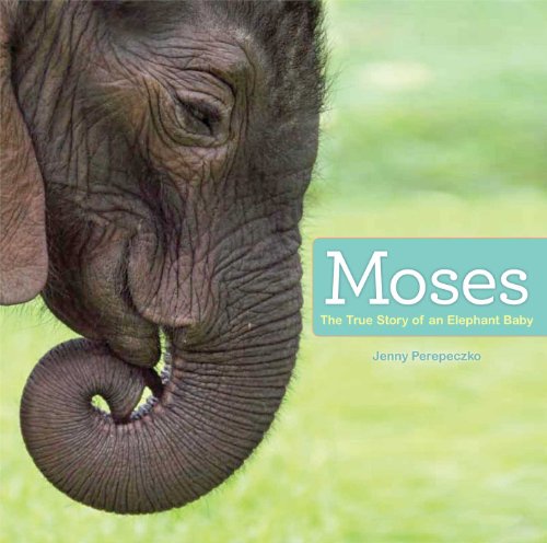 9781442496033: Moses: The True Story of an Elephant Baby