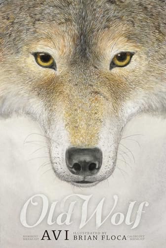 Stock image for Old Wolf for sale by Revaluation Books