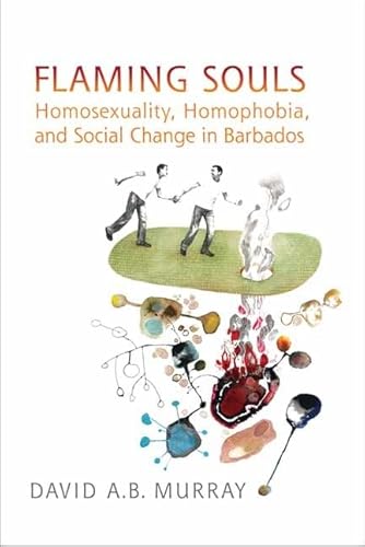 Imagen de archivo de Flaming Souls: Homosexuality, Homophobia, and Social Change in Barbados a la venta por Benjamin Books