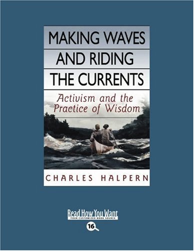 9781442956230: Making Waves and Riding the Currents: Activism and the Practice of Wisdom: Easyread Large Bold Edition