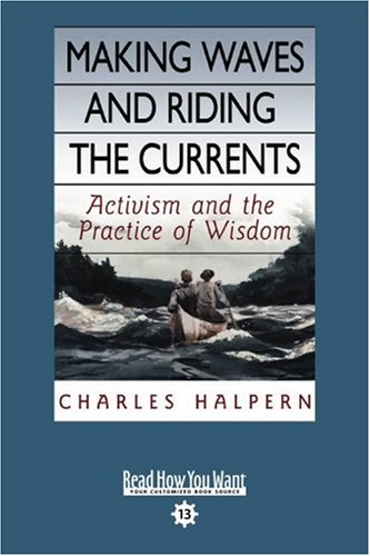9781442956254: Making Waves and Riding the Currents: Activism and the Practice of Wisdom: Easy Read Comfort Edition