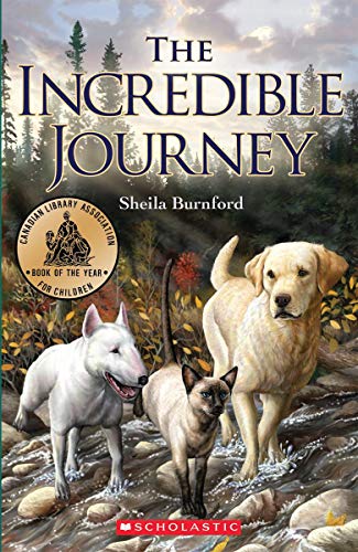9781443100182: The Incredible Journey