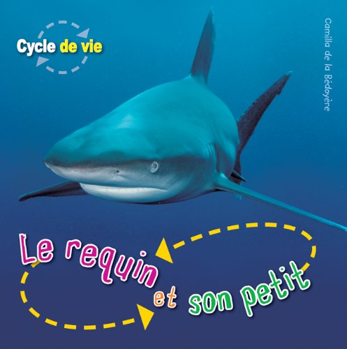 Beispielbild fr Requin et Son Petit zum Verkauf von Better World Books