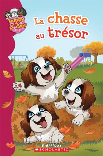 Beispielbild fr Chasse Aux Trsors zum Verkauf von Better World Books