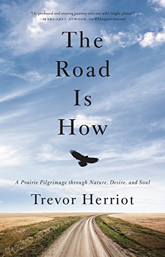 9781443417921: The Road Is How: Three Days A Foot Through Nature, Eros, And Soul, The