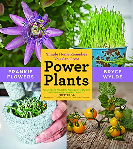 Beispielbild fr Power Plants : Simple Home Remedies You Can Grow zum Verkauf von Better World Books