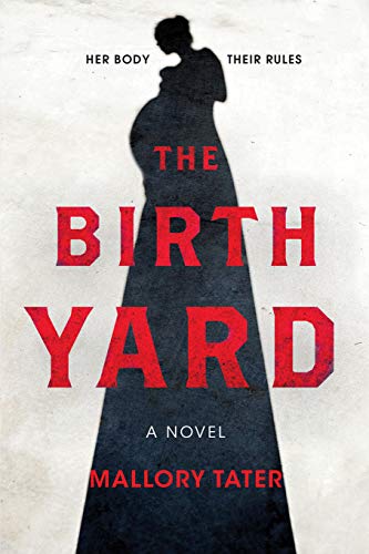 9781443458245: The Birth Yard: A Novel