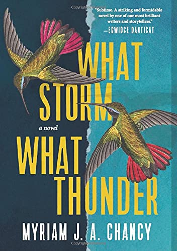 Imagen de archivo de What Storm, What Thunder: A Novel a la venta por Half Price Books Inc.