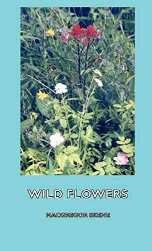 9781443736022: Wild Flowers