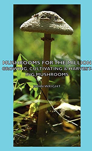 Imagen de archivo de Mushrooms for the Million - Growing, Cultivating & Harvesting Mushrooms a la venta por Lucky's Textbooks