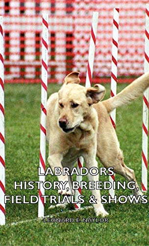 9781443736312: Labradors: History, Breeding, Field Trials & Shows