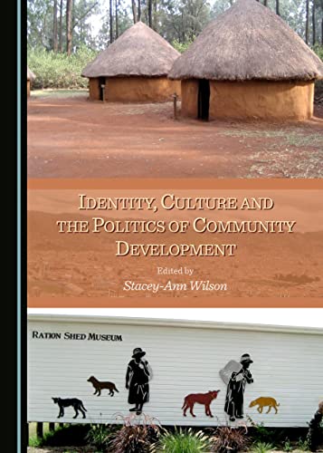 9781443871204: Identity, Culture and the Politics of Community Development