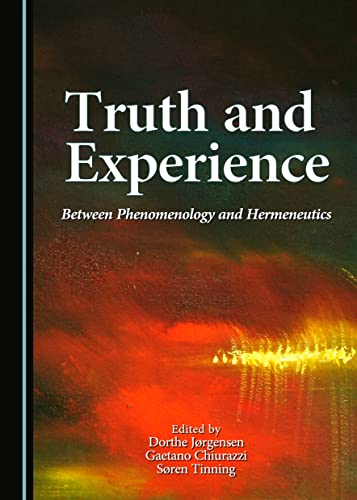 Stock image for Truth and Experience [Hardcover] Dorthe Jørgensen, Gaetano Chiurazzi, Søren Tinning for sale by The Compleat Scholar