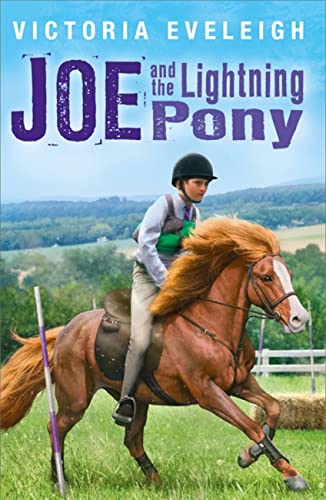 Imagen de archivo de Joe and the Lightning Pony: Book 2 (The Horseshoe Trilogy) a la venta por WorldofBooks