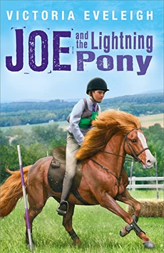 Stock image for Joe and the Lightning Pony: A Boy and His Horses for sale by ThriftBooks-Atlanta