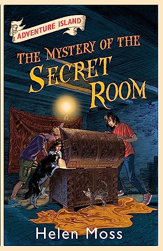Imagen de archivo de The Mystery of the Secret Room: Book 13 (Adventure Island) a la venta por WorldofBooks