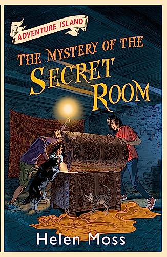 Stock image for The Mystery of the Secret Room: Book 13 (Adventure Island) for sale by WorldofBooks