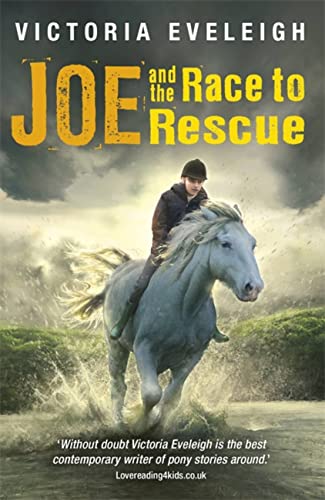 Stock image for Joe and the Race to Rescue: Book 3 (The Horseshoe Trilogy) for sale by WorldofBooks