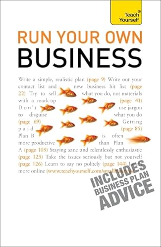 9781444100259: Run Your Own Business (Teach Yourself)