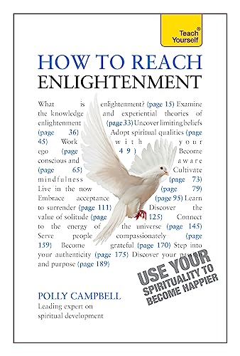 9781444168778: How to Reach Enlightenment: Teach Yourself