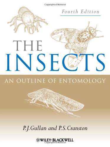 Imagen de archivo de The Insects: An Outline of Entomology a la venta por HPB-Red