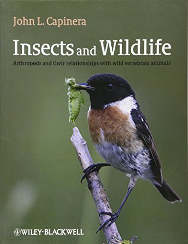 Stock image for Insects and Wildlife: Arthropods and their Relationships with Wild Vertebrate Animals for sale by HPB-Red