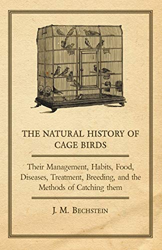 Imagen de archivo de The Natural History of Cage Birds: Their Management, Habits, Food, Diseases, Treatment, Breeding and the Methods of Catching Them a la venta por Revaluation Books