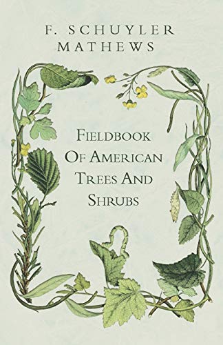 Fieldbook Of American Trees And Shrubs (9781444685046) by Mathews, F Schuyler