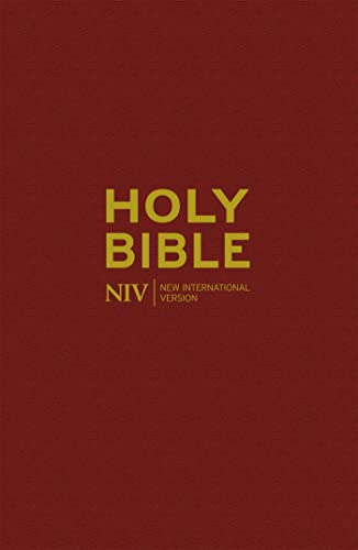 9781444701487: NIV Popular Burgundy Hardback Bible (New International Version)