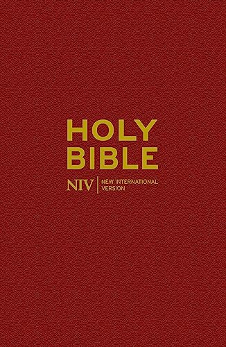 9781444701487: NIV Popular Burgundy Hardback Bible