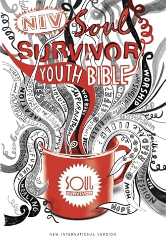 9781444701579: NIV Soul Survivor Youth Bible Hardback (New International Versio)