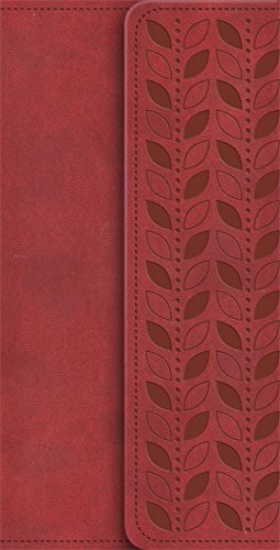 9781444701784: NIV Diary Cherry Soft-Tone Bible with Clasp (New International Version)
