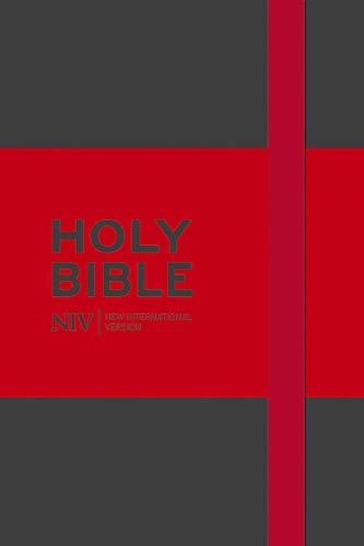 Beispielbild fr The Holy Bible: New International Version zum Verkauf von The Book Bin